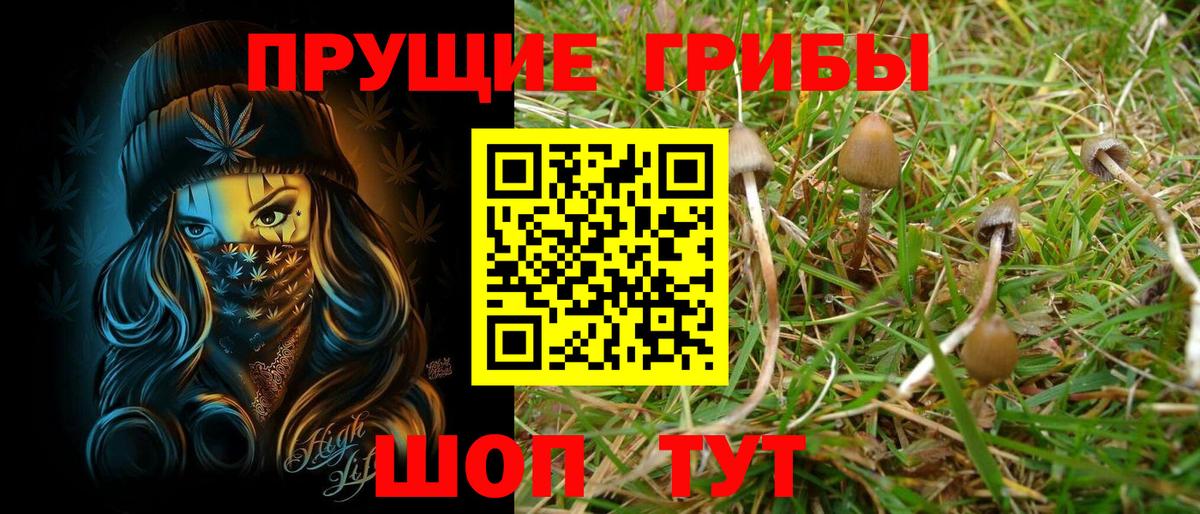 Галлюциногенные грибы мухоморы Кимры