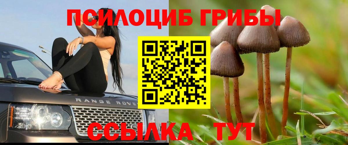 Галлюциногенные грибы Psilocybine cubensis  Вход с VPN  Кимры 